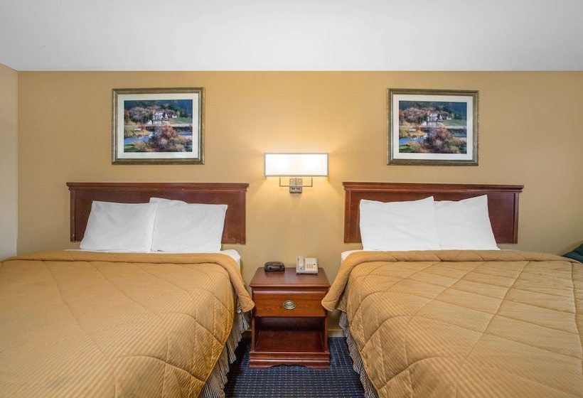 酒店 Knights Inn  Tonawanda Ny