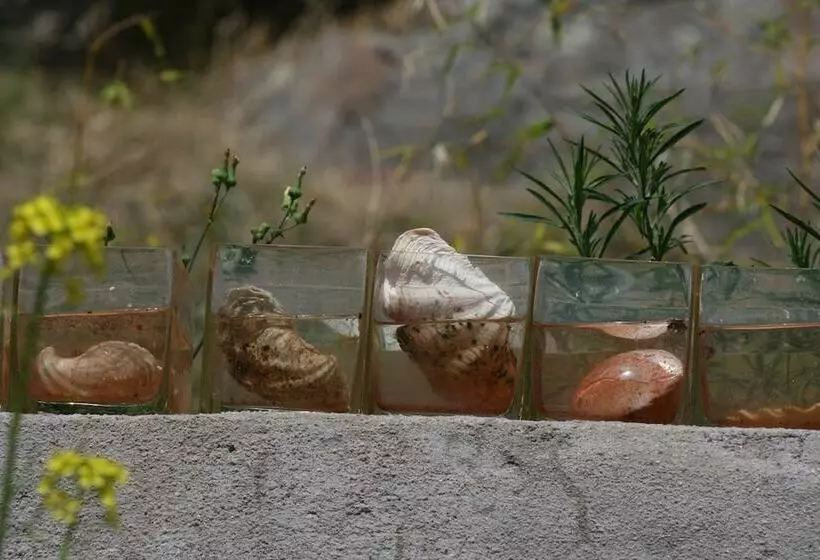 בית מלון כפרי La Canela