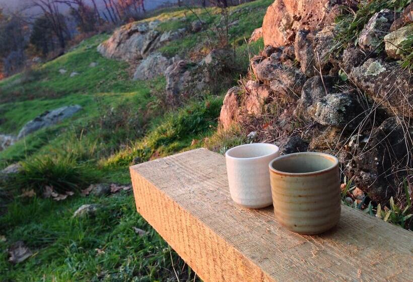 Отель La Canela