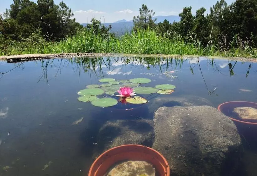 בית מלון כפרי La Canela