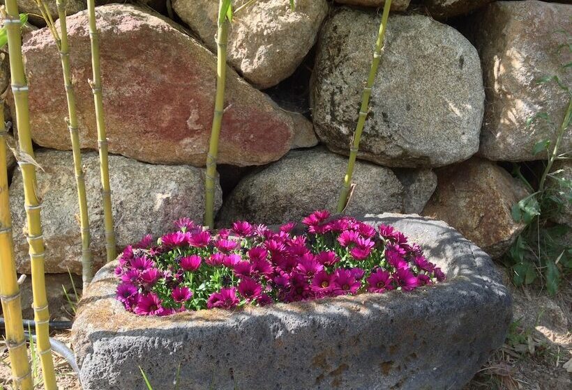 Отель La Canela