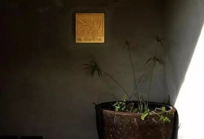 בית מלון כפרי La Canela