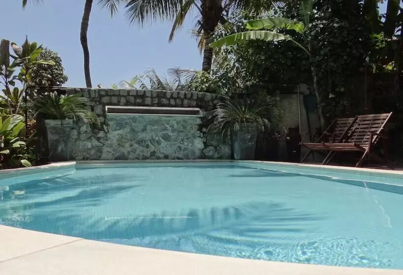 Hotel Pousada Tamanduá