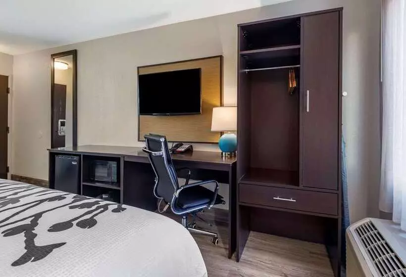 酒店 Sleep Inn  Salisbury I85