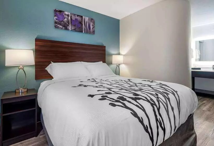 酒店 Sleep Inn  Salisbury I85