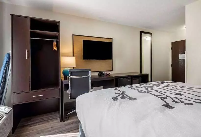 酒店 Sleep Inn  Salisbury I85