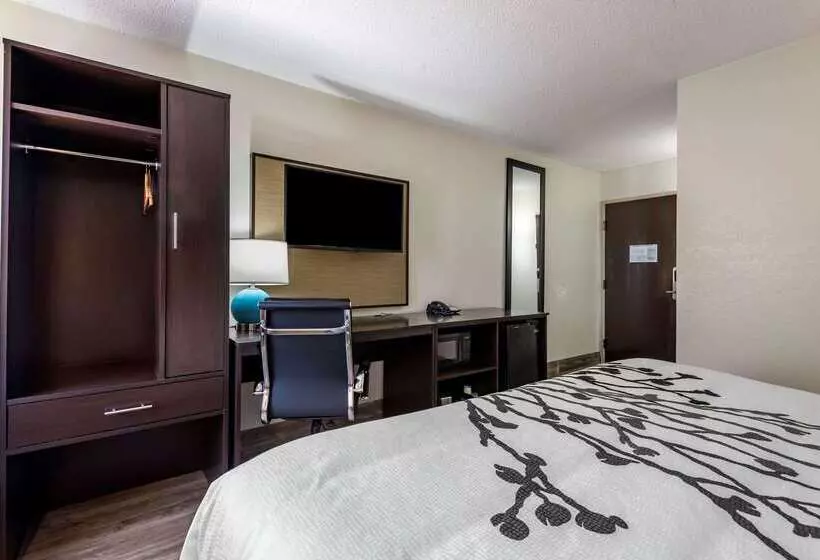 酒店 Sleep Inn  Salisbury I85