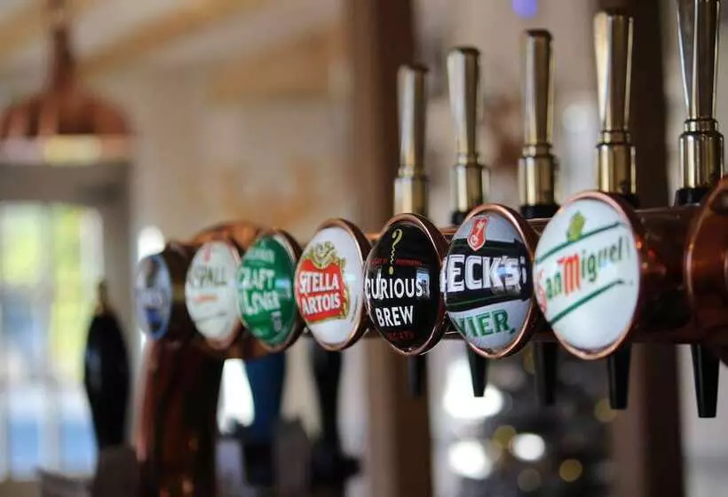 בית מלון כפרי The Ship Inn