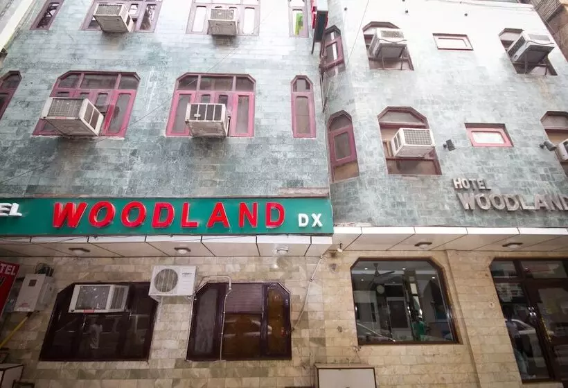 Отель Woodland Dx