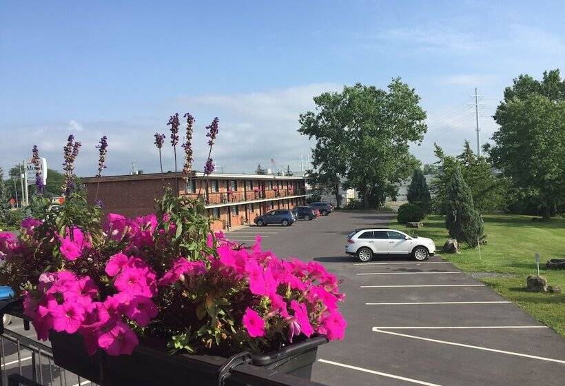 Motel Et Appartements Du Fleuve