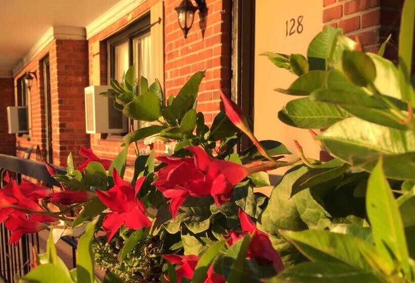 Motel Et Appartements Du Fleuve