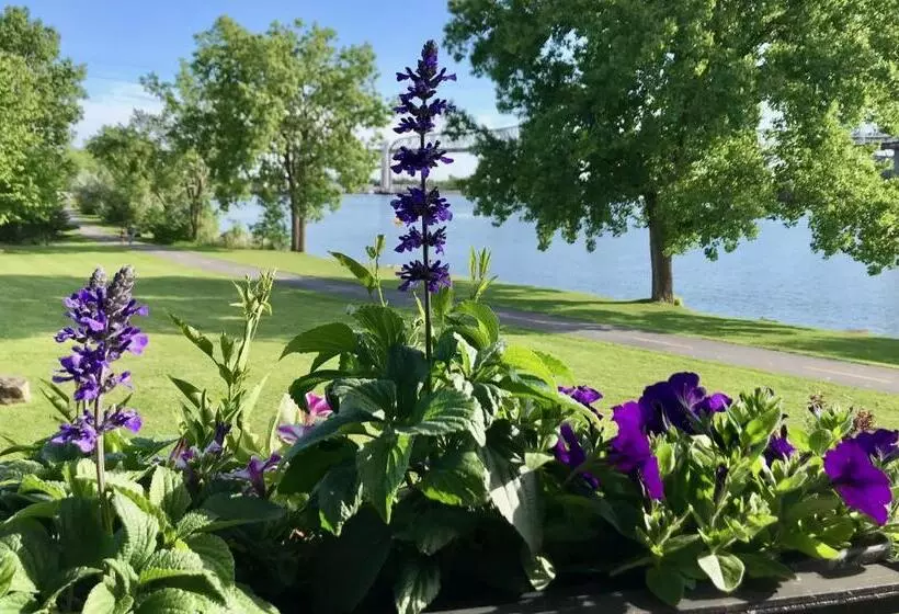 Motel Et Appartements Du Fleuve