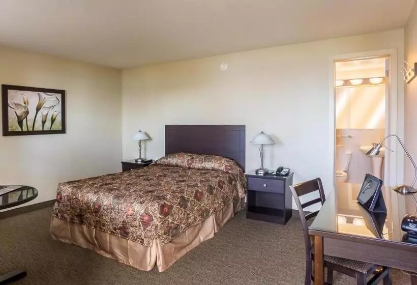 Motel Et Appartements Du Fleuve