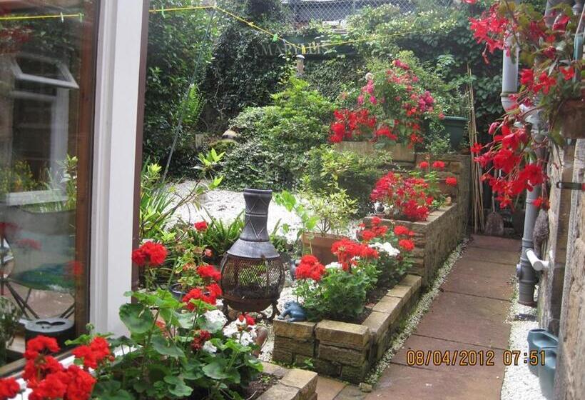 住宿加早餐  Amaryllis Guest House