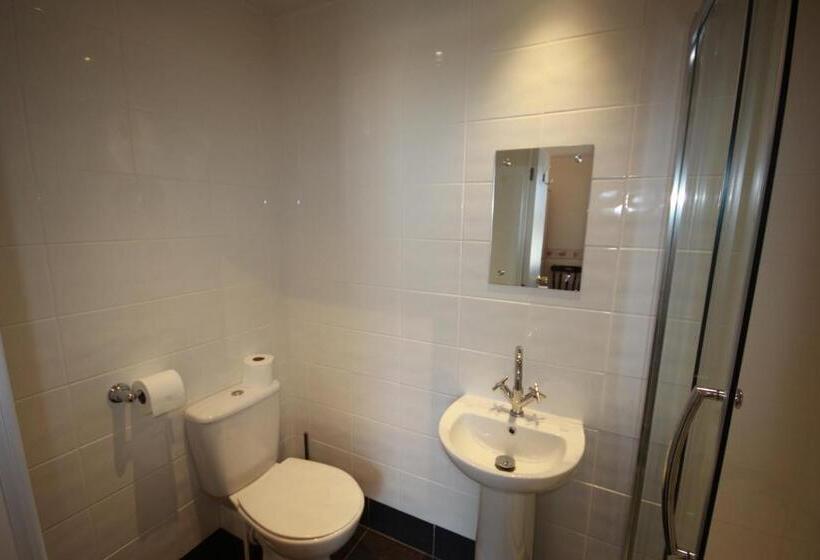 مبيت وإفطار Dolphins