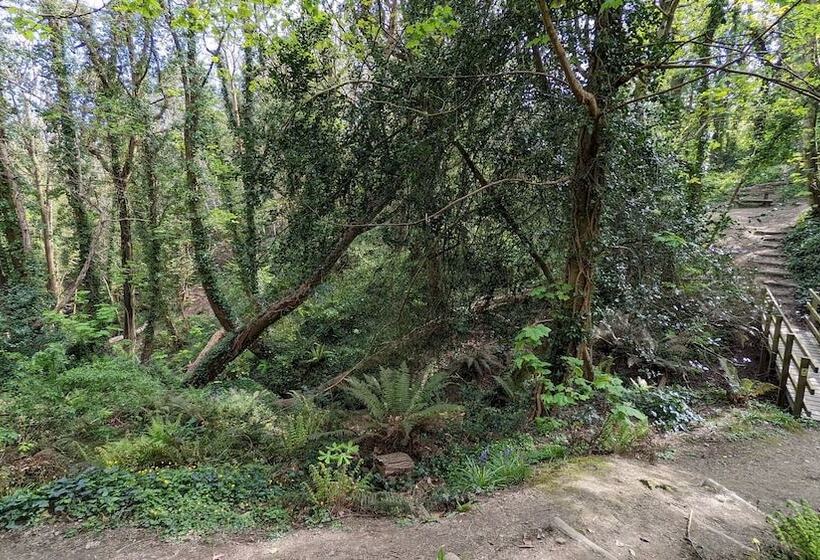 ベッドアンドブレックファースト Summerfields House