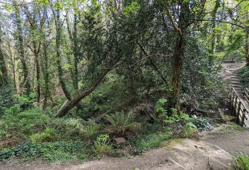 تختخواب و صبحانه Summerfields House