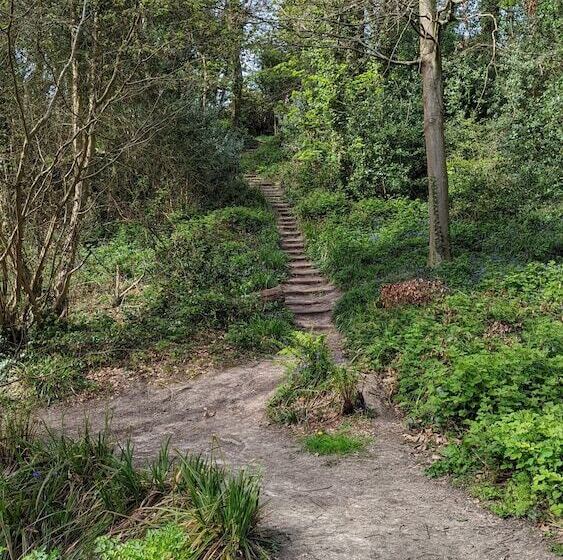 ベッドアンドブレックファースト Summerfields House