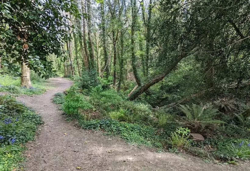 تختخواب و صبحانه Summerfields House