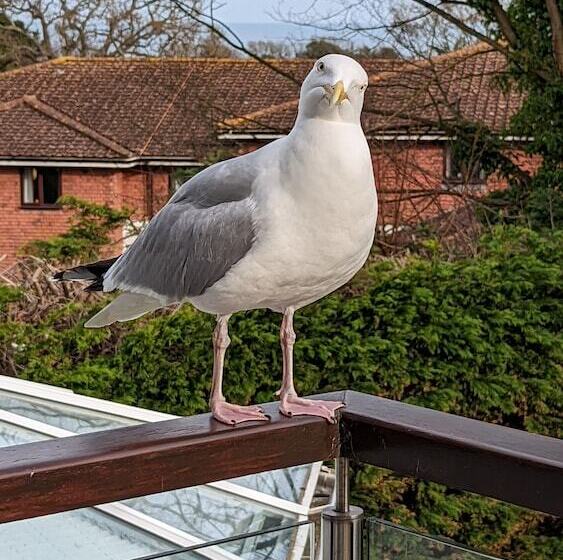 ベッドアンドブレックファースト Summerfields House