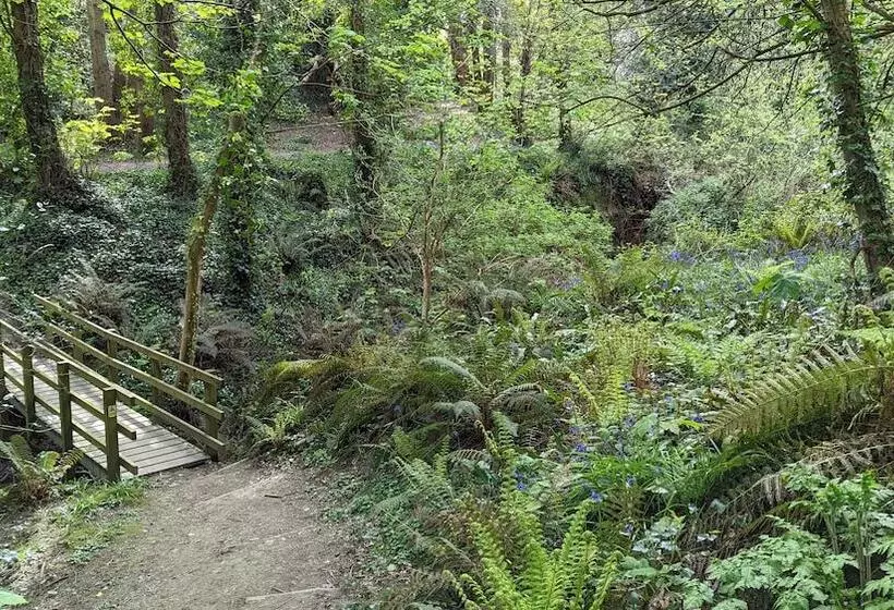 تختخواب و صبحانه Summerfields House