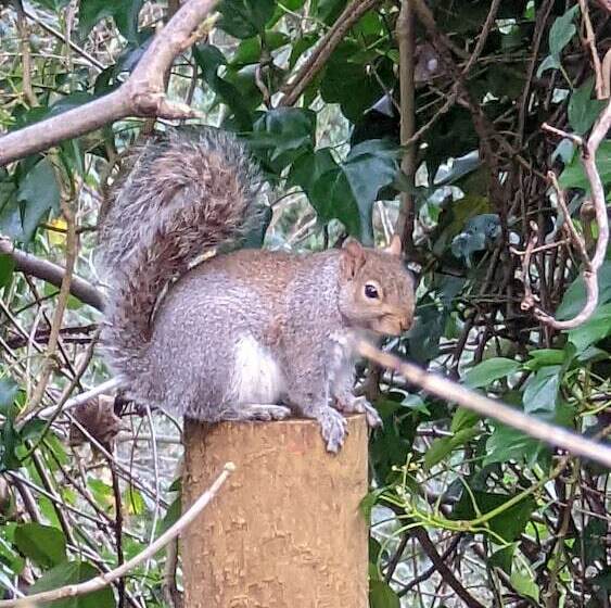 ベッドアンドブレックファースト Summerfields House