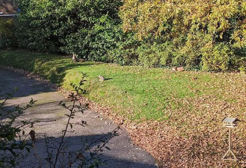 تختخواب و صبحانه Summerfields House