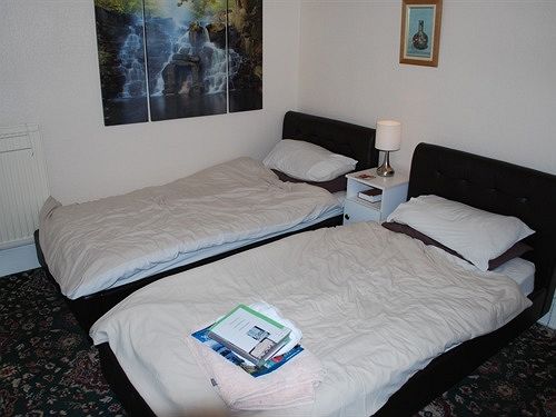 ホテル Mayville Guest House