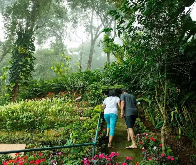 호텔 Misty Mountain Resort