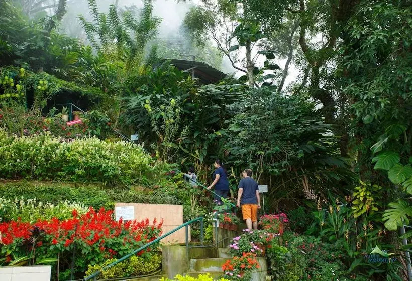 Отель Misty Mountain Resort