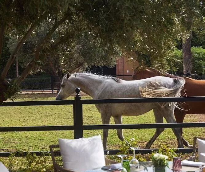 هتل Selman Marrakech