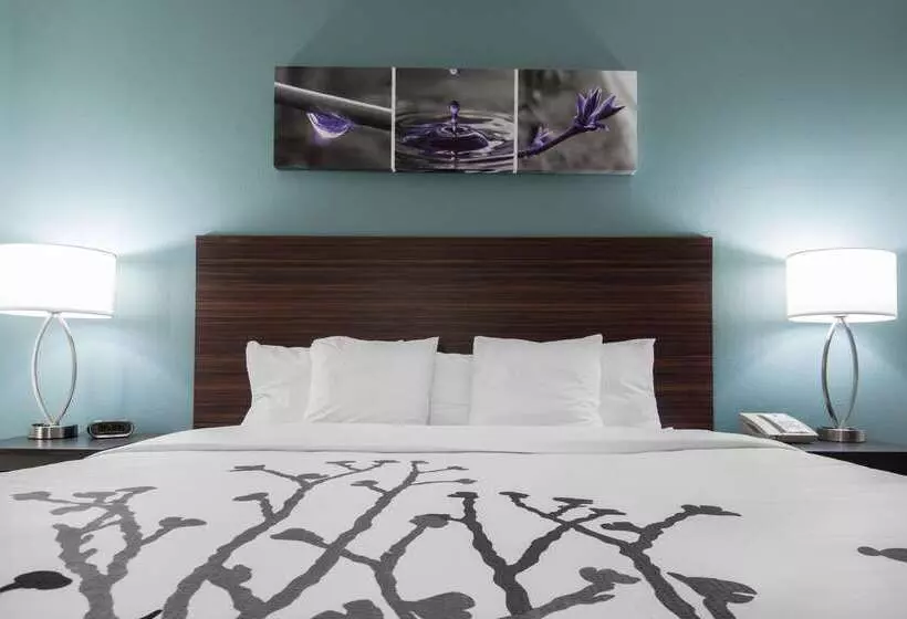 Отель Sleep Inn & Suites Washington Near Peoria