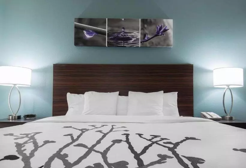 Отель Sleep Inn & Suites Washington Near Peoria