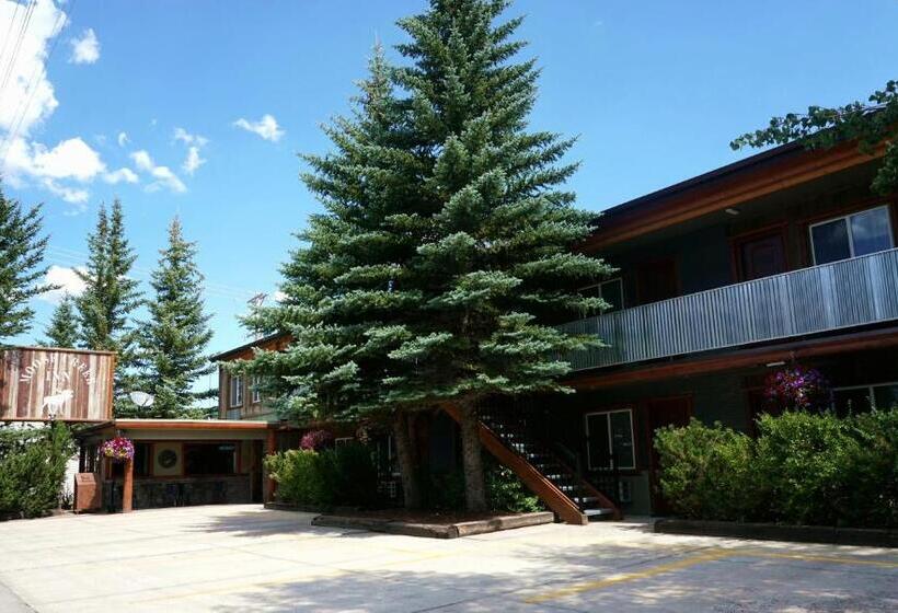 فندق Moose Creek Inn