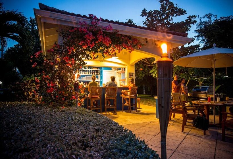 Отель Villa Del Mar