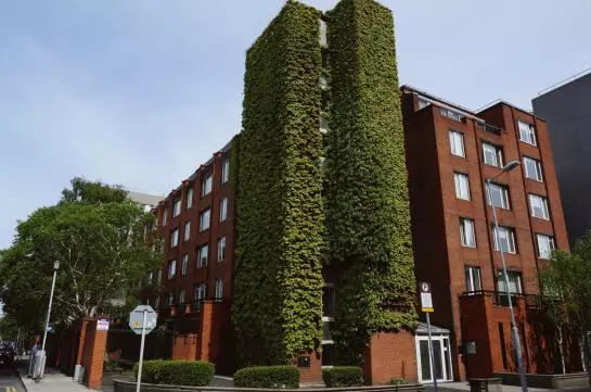 Lad Lane Apartments