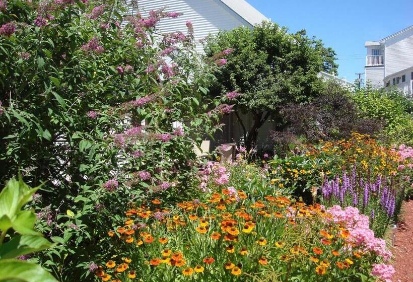 Pink Blossoms Resort