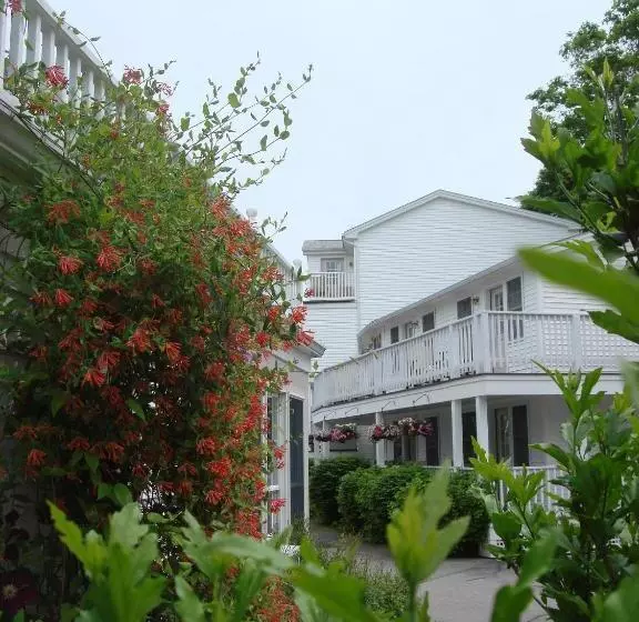 Pink Blossoms Resort