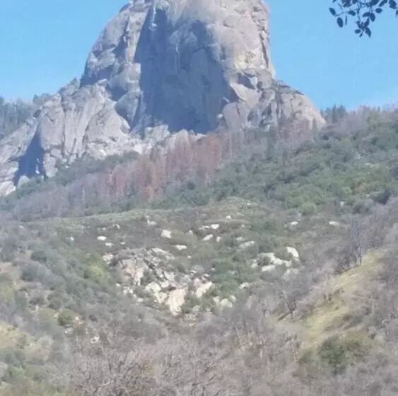 住宿加早餐  The Parks Inn