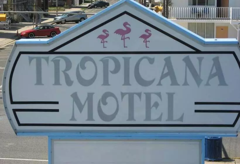 Tropicana Motel