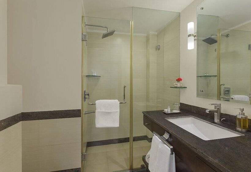 فندق City Heart Sarovar Portico