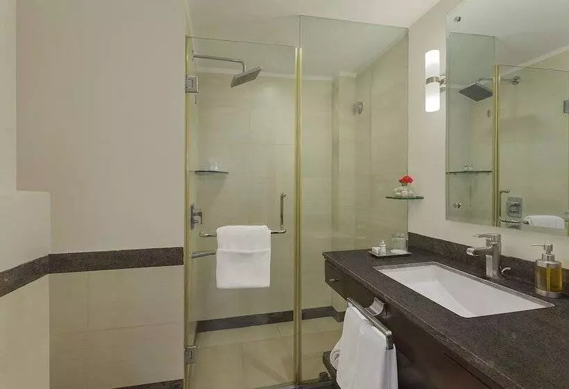 酒店 City Heart Sarovar Portico