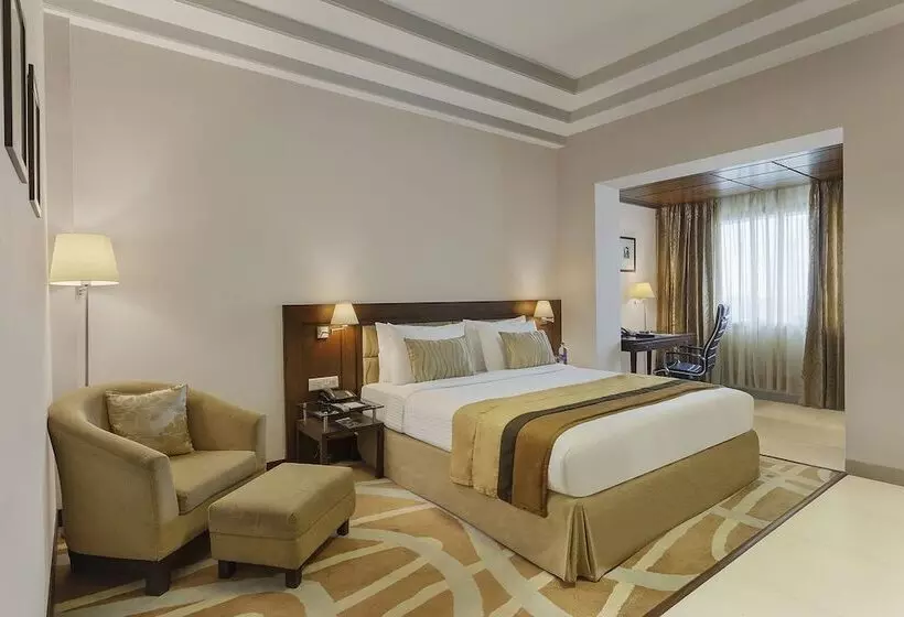 酒店 City Heart Sarovar Portico