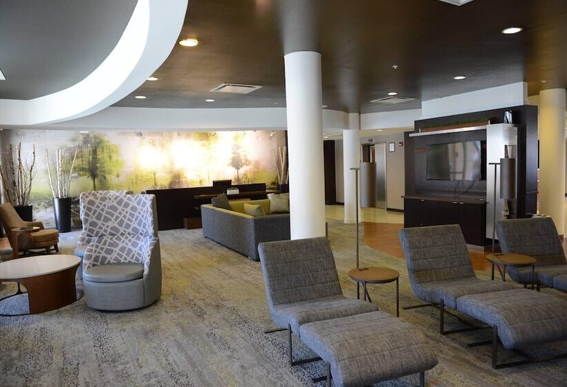 فندق Courtyard El Paso Airport