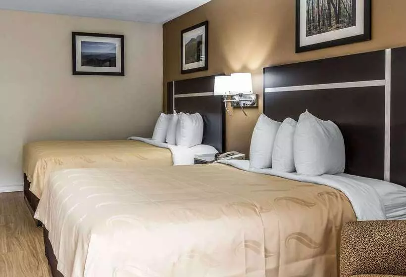 فندق Quality Inn & Suites