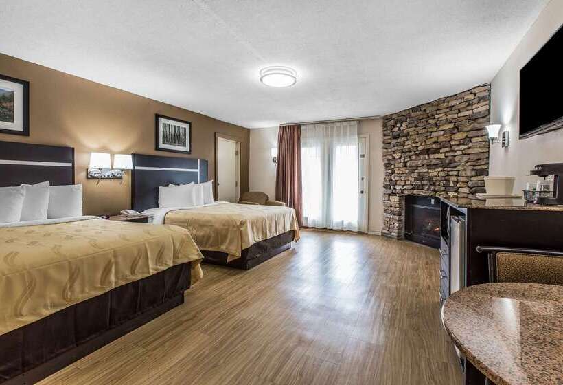 ホテル Quality Inn & Suites