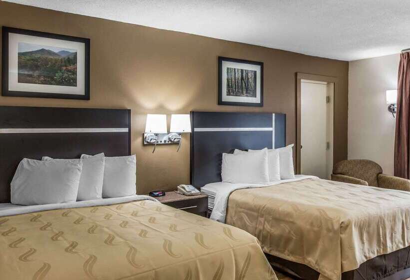 ホテル Quality Inn & Suites