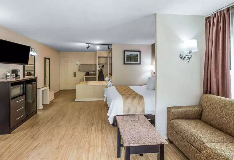 فندق Quality Inn & Suites