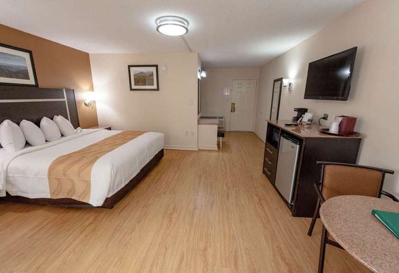 ホテル Quality Inn & Suites