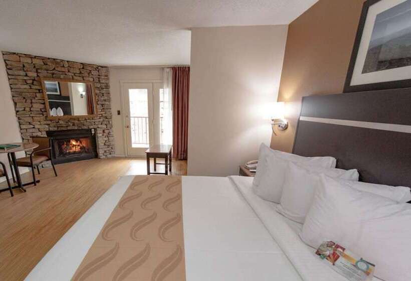 ホテル Quality Inn & Suites